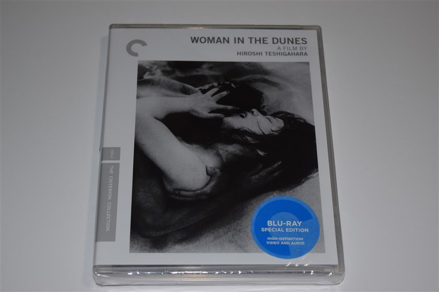 Screen capture from Woman in the Dunes