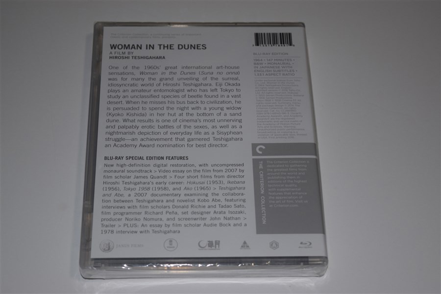 Screen capture from Woman in the Dunes