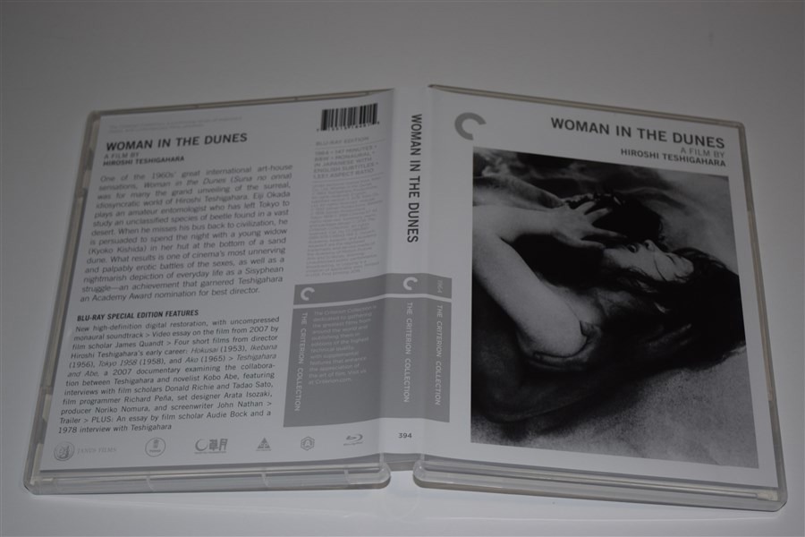 Screen capture from Woman in the Dunes