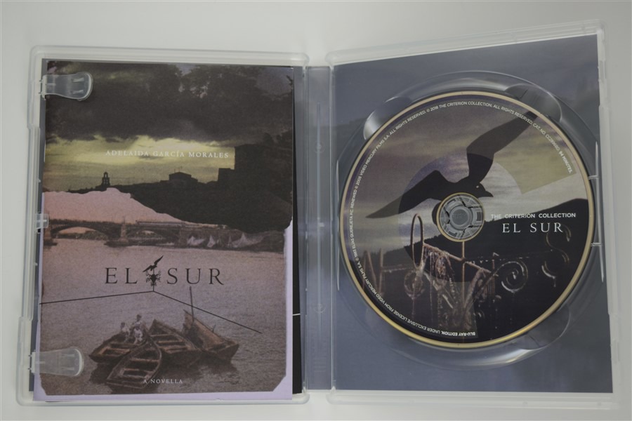 Screen capture from El Sur