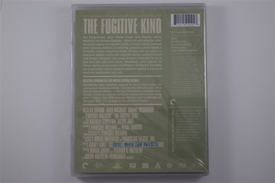 Screen capture from The Fugitive Kind
