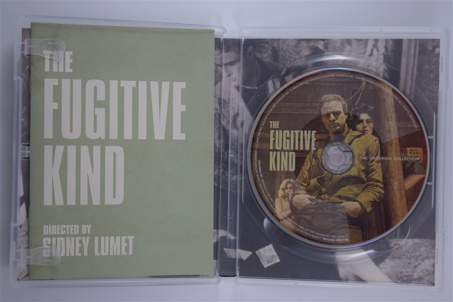 Screen capture from The Fugitive Kind