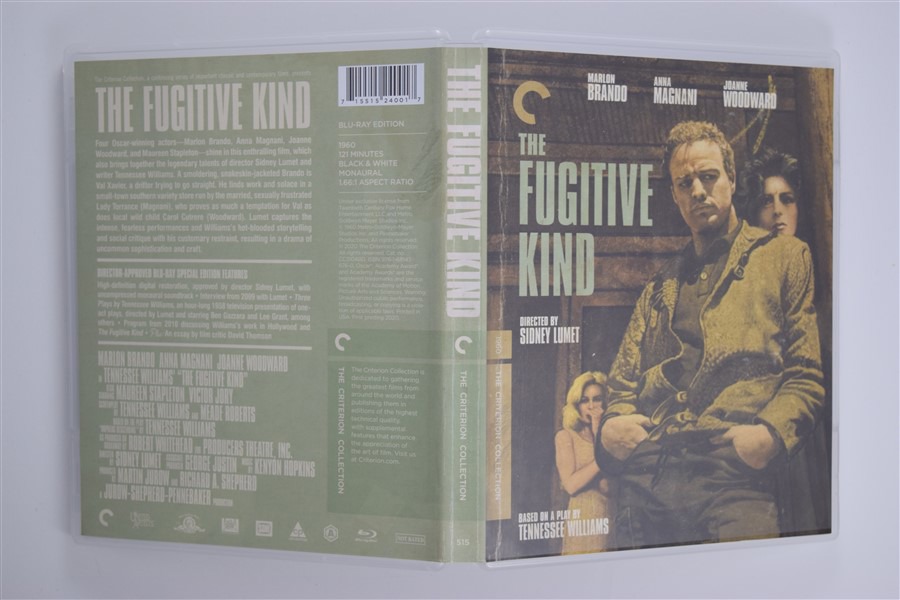 Screen capture from The Fugitive Kind