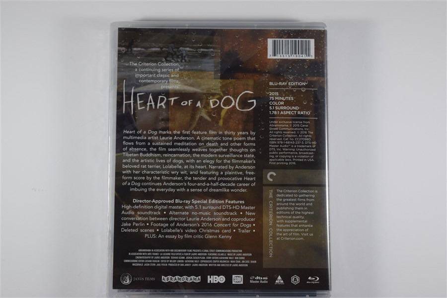 Screen capture from Heart of a Dog