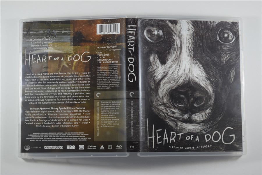 Screen capture from Heart of a Dog