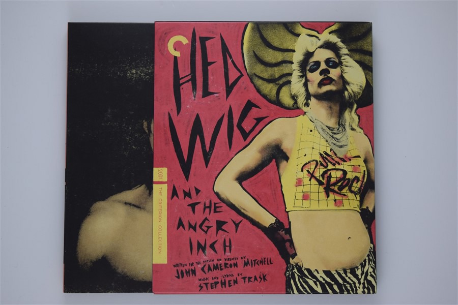 Screen capture from Hedwig and the Angry Inch
