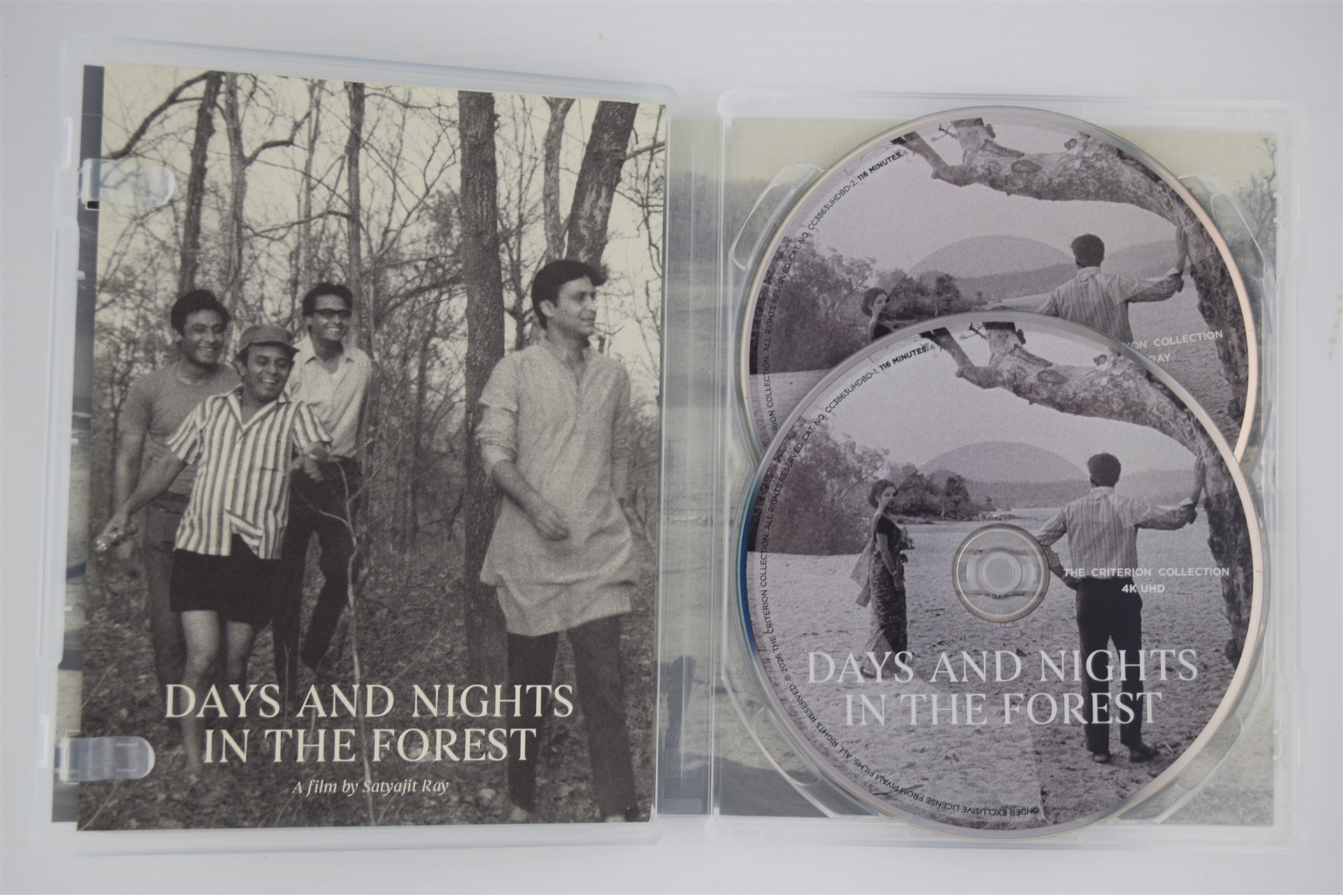 Screen capture from Days and Nights in the Forest