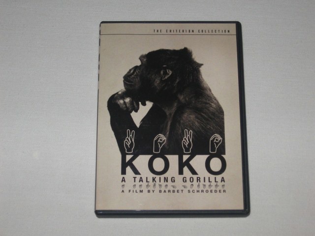 Screen capture from Koko: A Talking Gorilla