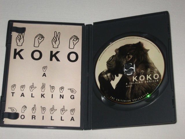 Screen capture from Koko: A Talking Gorilla