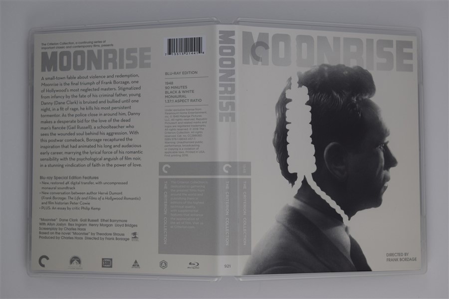 Screen capture from Moonrise