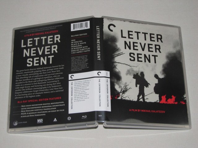 Screen capture from Letter Never Sent