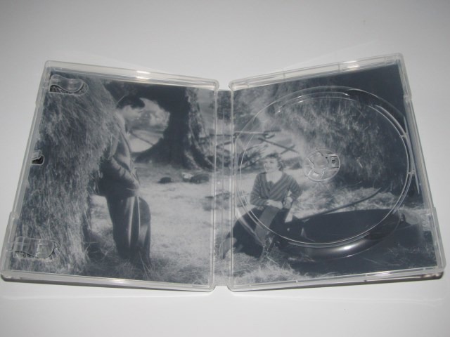 Screen capture from It Happened One Night