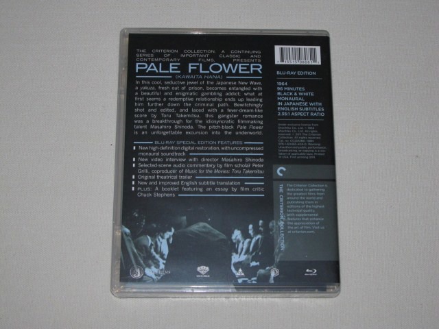 Screen capture from Pale Flower