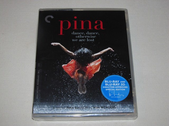 Screen capture from Pina