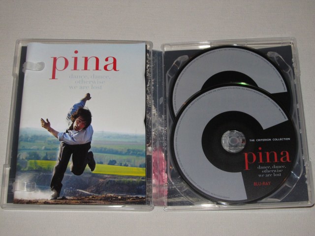 Screen capture from Pina
