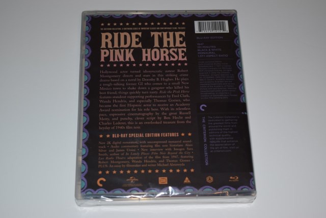 Screen capture from Ride the Pink Horse