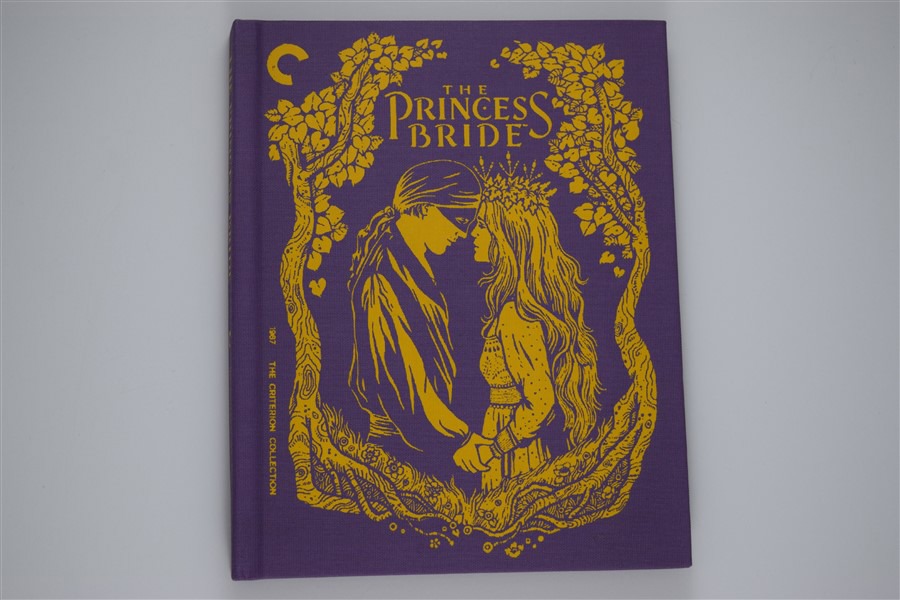 Screen capture from The Princess Bride