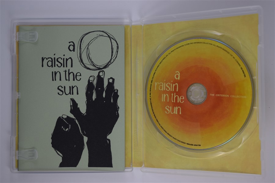 Screen capture from A Raisin in the Sun