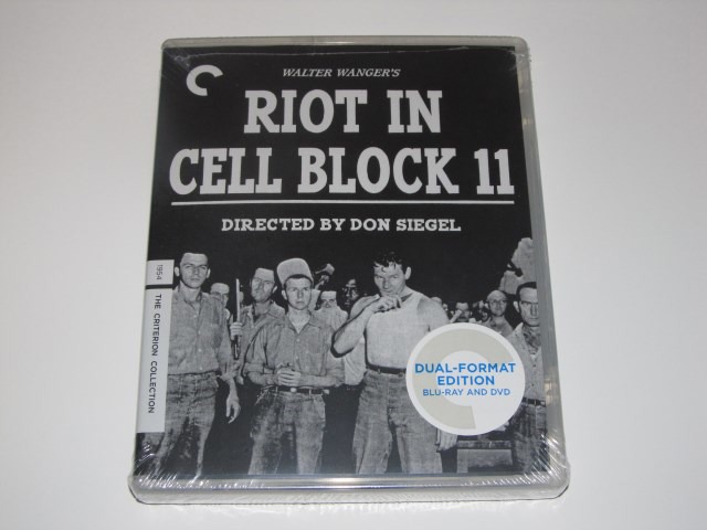 Screen capture from Riot in Cell Block 11