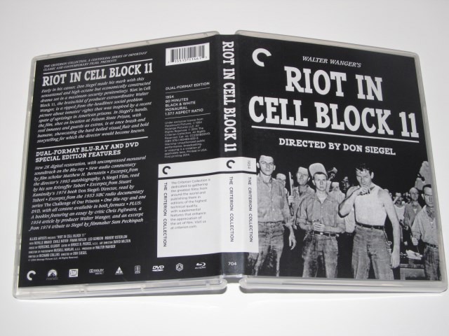 Screen capture from Riot in Cell Block 11
