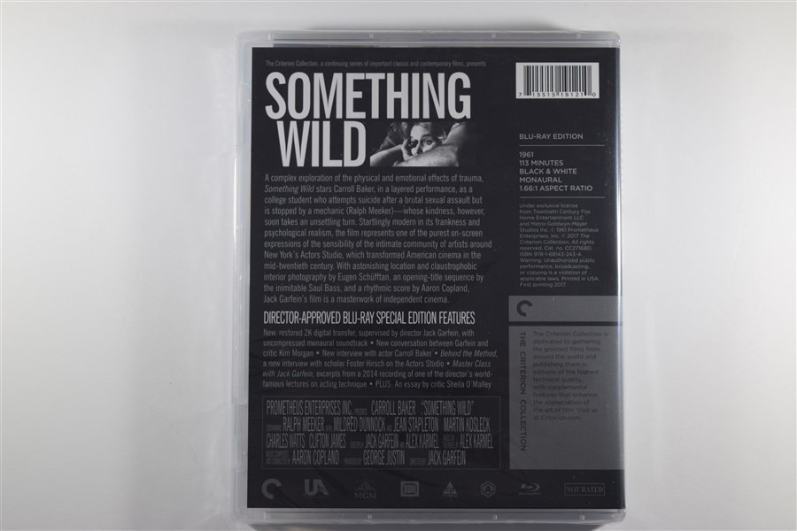 Screen capture from Something Wild