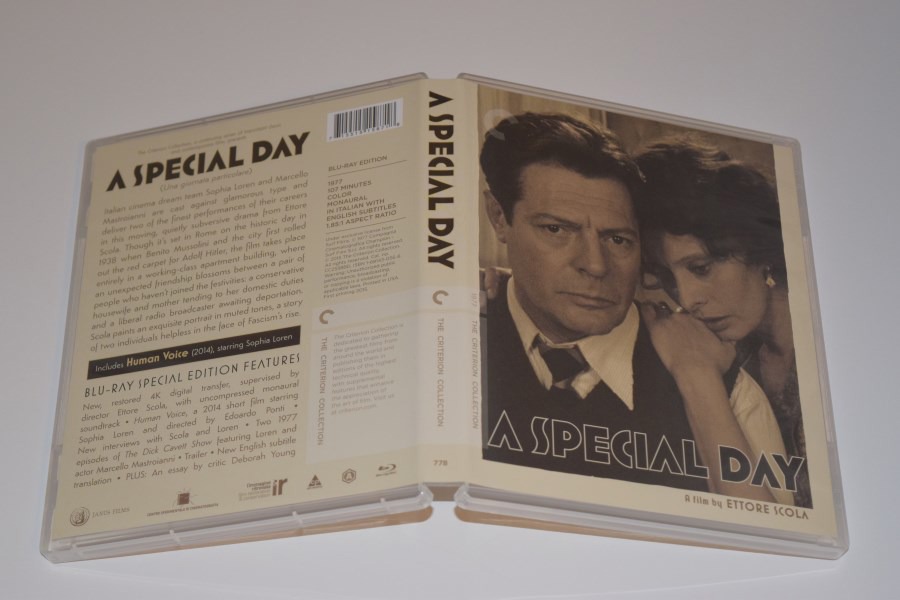 Screen capture from A Special Day