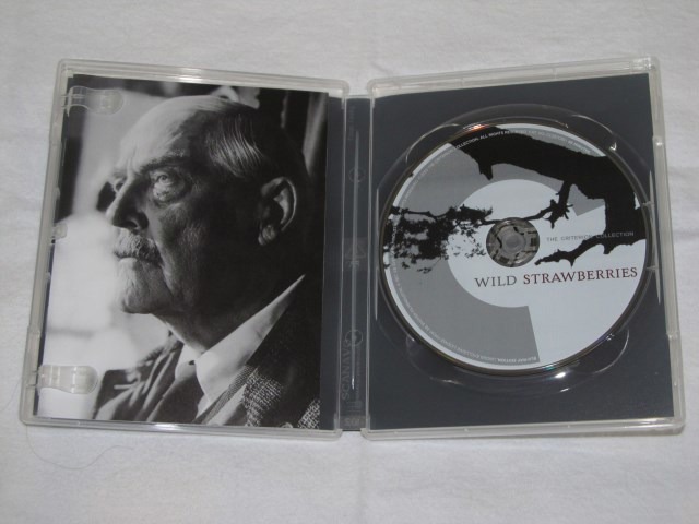 Screen capture from Wild Strawberries