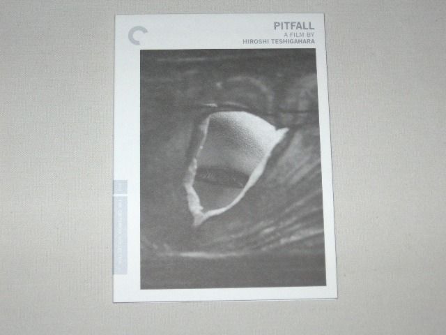 Screen capture from Pitfall