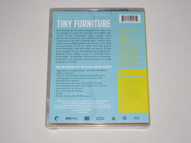 Screen capture from Tiny Furniture