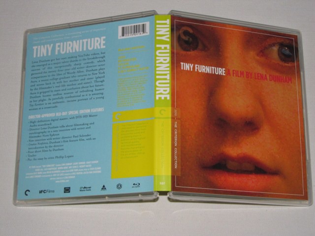 Screen capture from Tiny Furniture