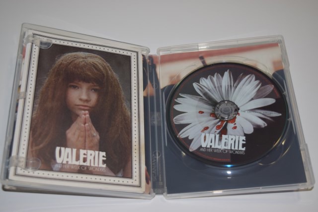 Screen capture from Valerie and Her Week of Wonders