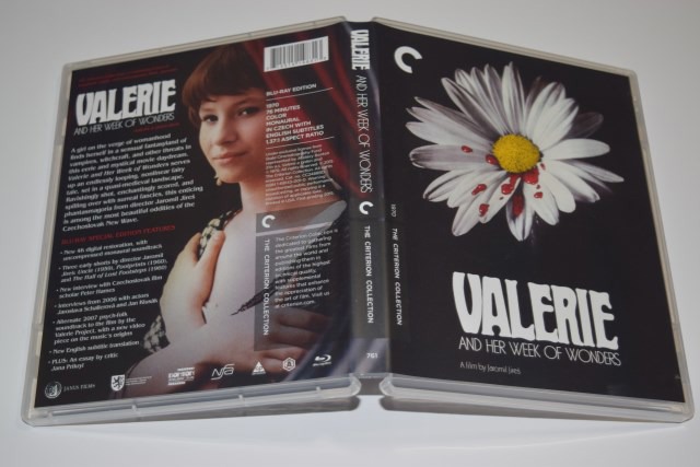 Screen capture from Valerie and Her Week of Wonders