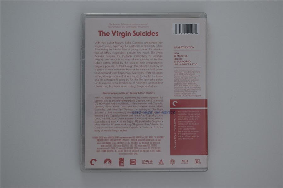 Screen capture from The Virgin Suicides
