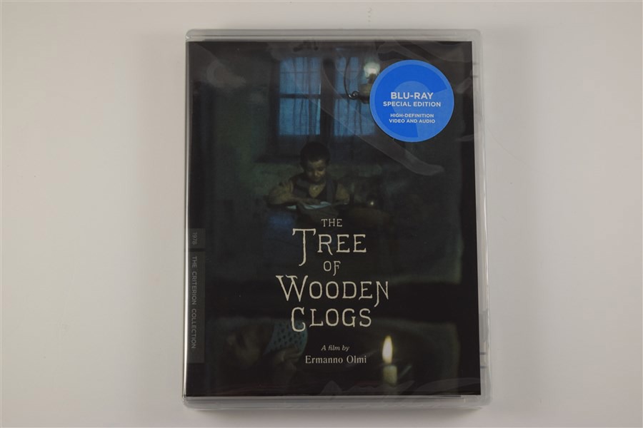 Screen capture from The Tree of Wooden Clogs