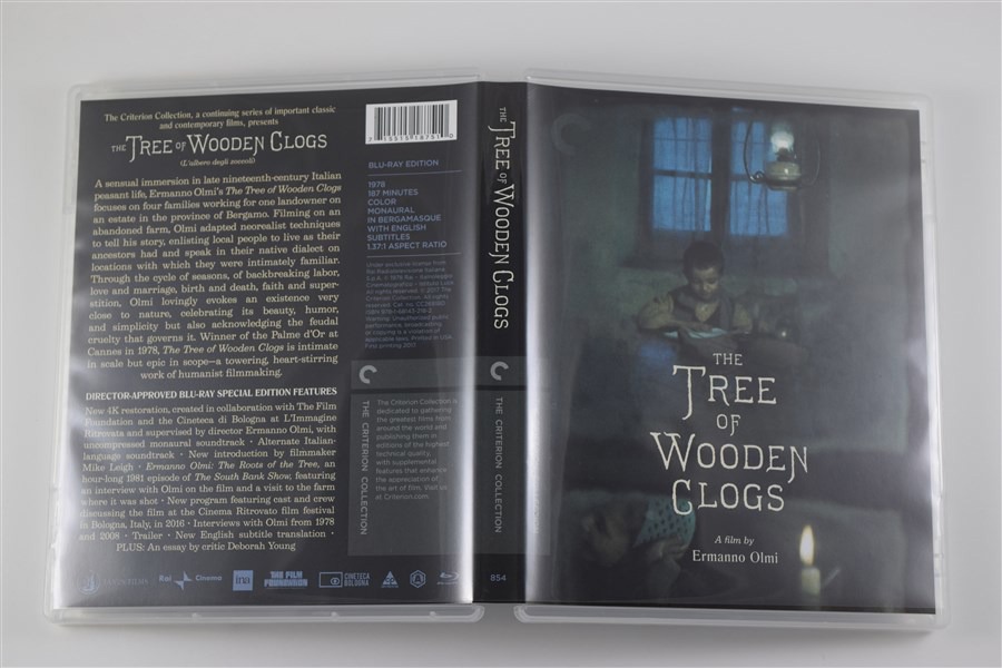 Screen capture from The Tree of Wooden Clogs