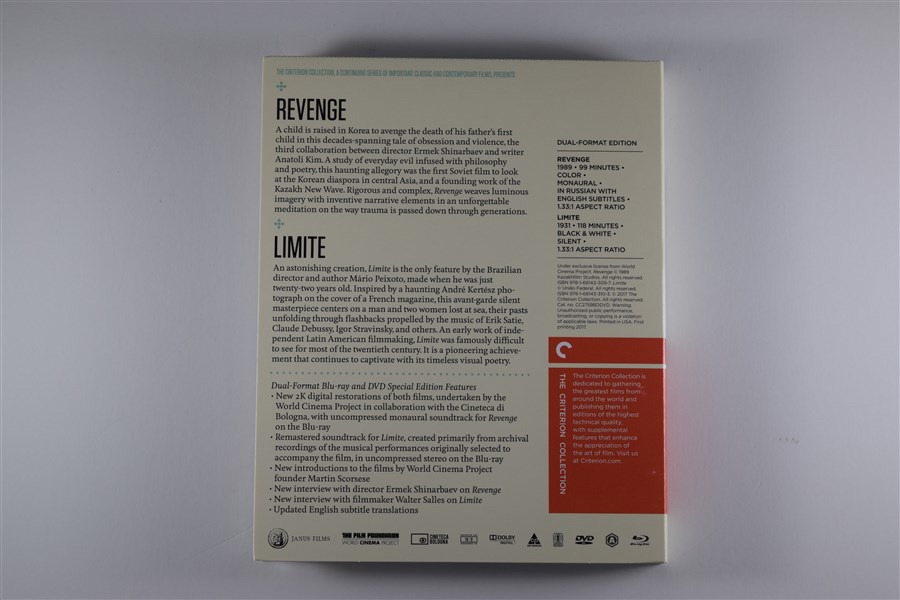 Screen capture from Revenge / Limite