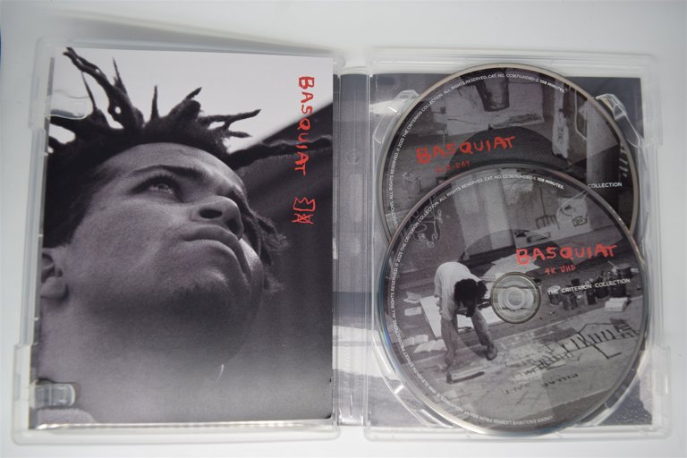 Packaging photo for Basquiat