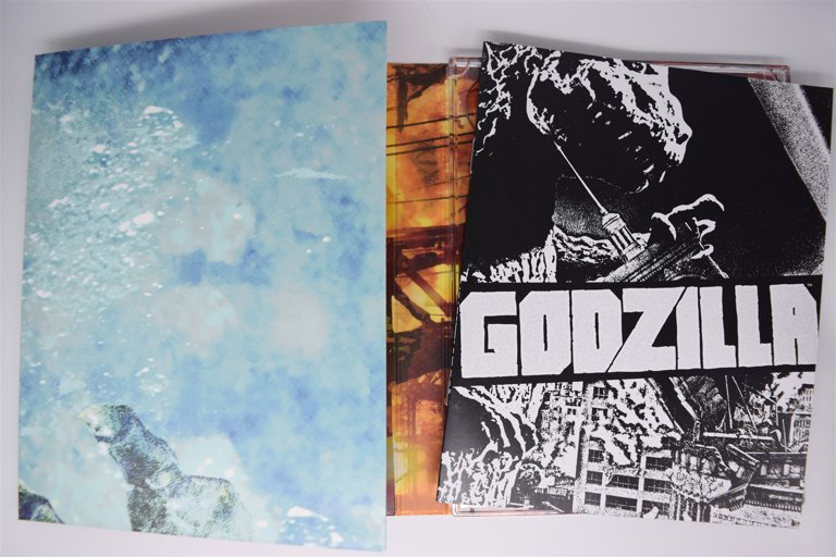 Packaging photo for Godzilla