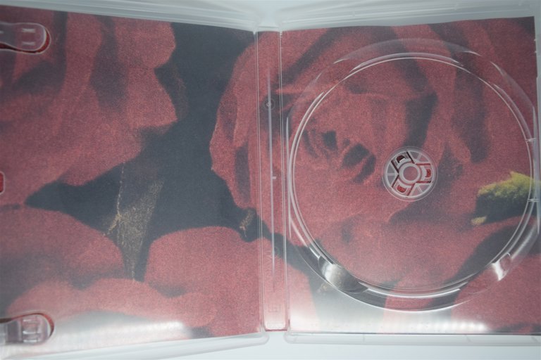 Packaging photo for Daisies
