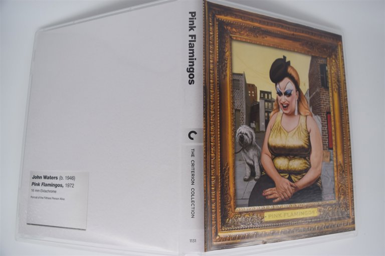 Packaging photo for Pink Flamingos