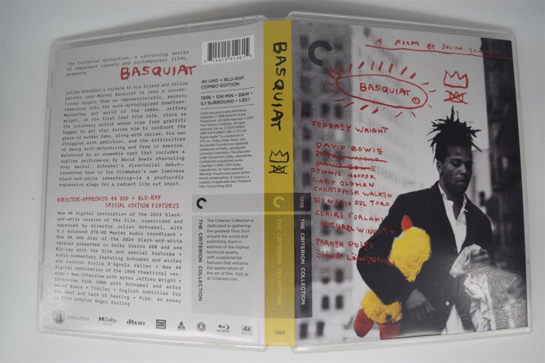 Packaging photo for Basquiat