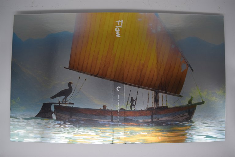 Packaging photo for Flow