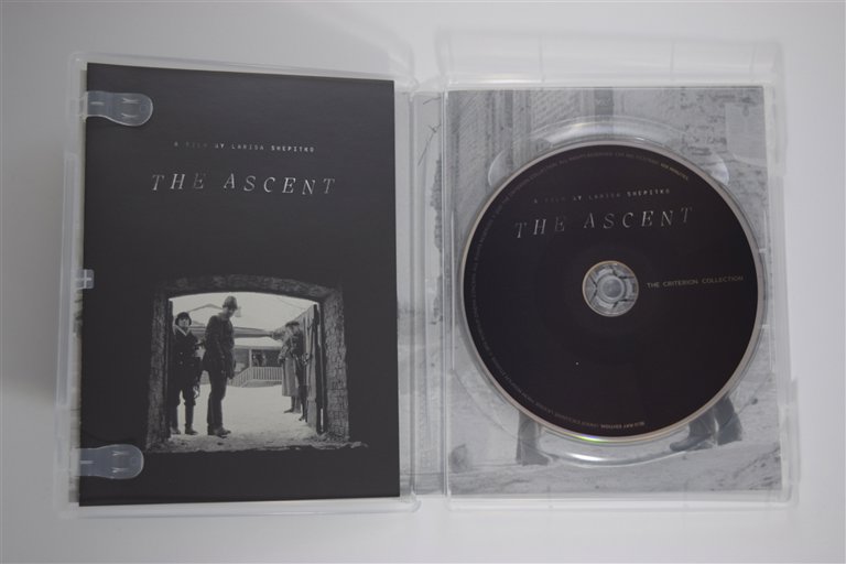 Packaging photo for The Ascent