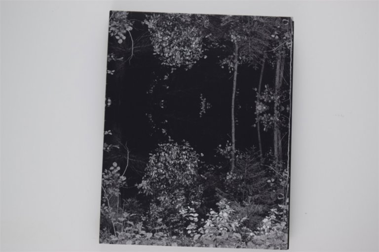 Packaging photo for Mirror