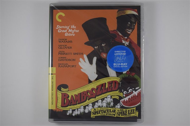 Packaging photo for Bamboozled