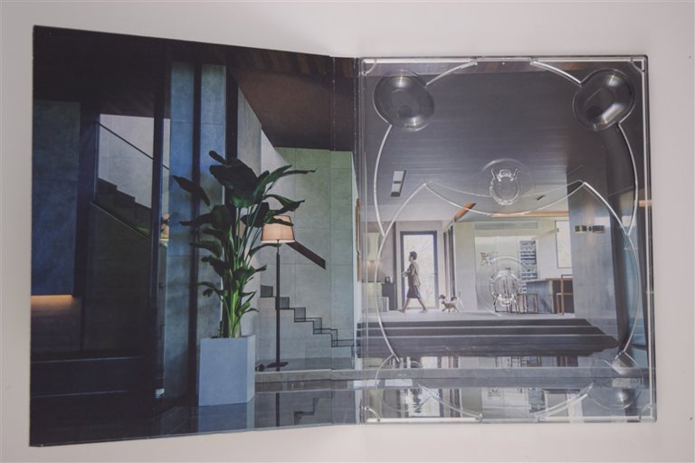Packaging photo for Parasite