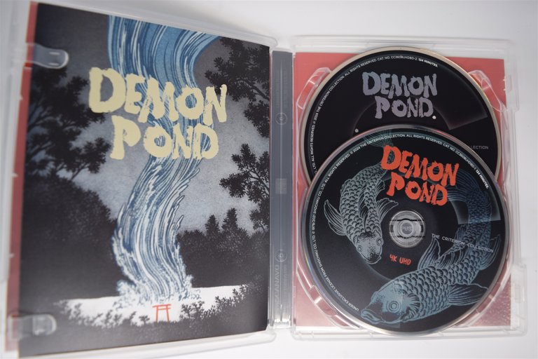 Packaging photo for Demon Pond