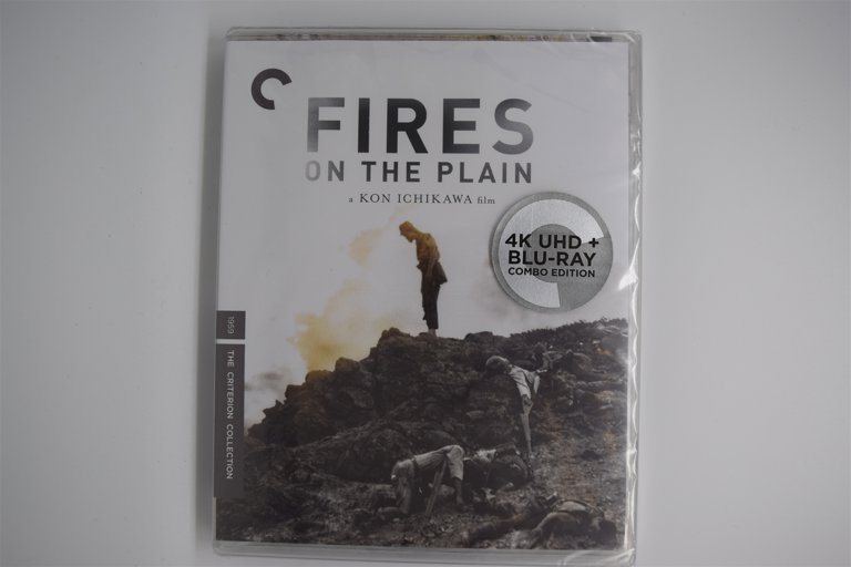 Packaging photo for Fires on the Plain