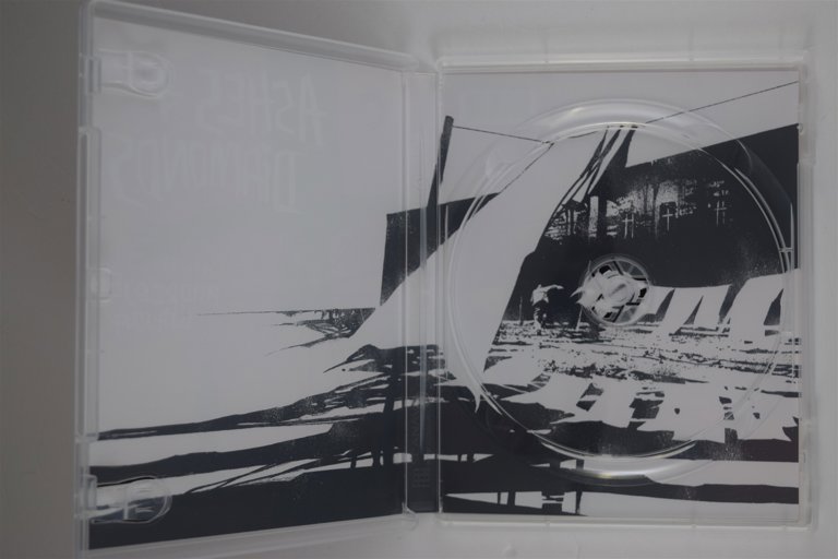 Packaging photo for Ashes and Diamonds