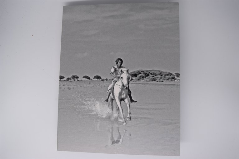 Packaging photo for The Red Balloon and Other Stories: Five Films by Albert Lamorisse